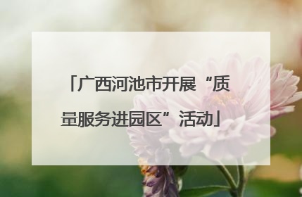 广西河池市开展“质量服务进园区”活动