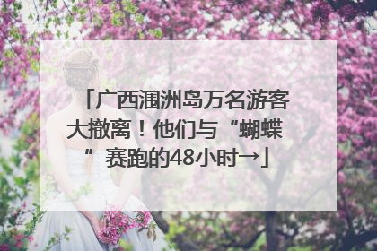 广西涠洲岛万名游客大撤离！他们与“蝴蝶”赛跑的48小时→