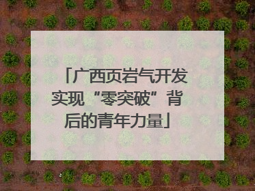广西页岩气开发实现“零突破”背后的青年力量