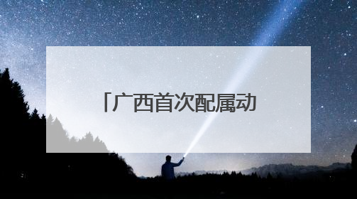 广西首次配属动力集中“复兴号”动车组 南宁至上海省时近6小时