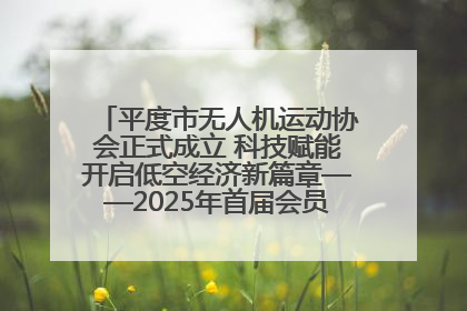 平度市无人机运动协会正式成立 科技赋能开启低空经济新篇章——2025年首届会员大会暨无人机应用发展论坛成功举办