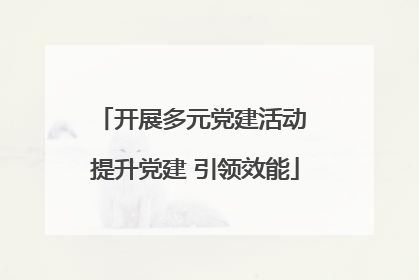 开展多元党建活动 提升党建 引领效能