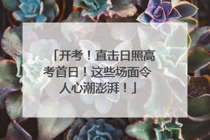 开考！直击日照高考首日！这些场面令人心潮澎湃！