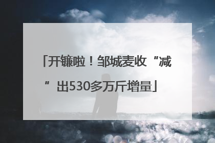 开镰啦！邹城麦收“减”出530多万斤增量