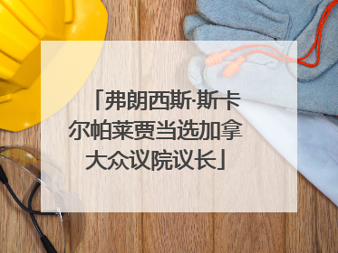 弗朗西斯·斯卡尔帕莱贾当选加拿大众议院议长