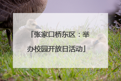 张家口桥东区：举办校园开放日活动
