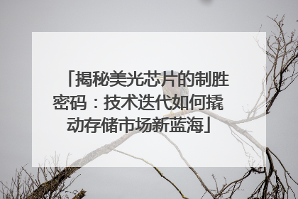 揭秘美光芯片的制胜密码：技术迭代如何撬动存储市场新蓝海