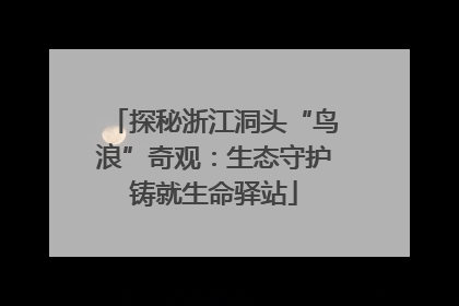 探秘浙江洞头“鸟浪”奇观：生态守护铸就生命驿站