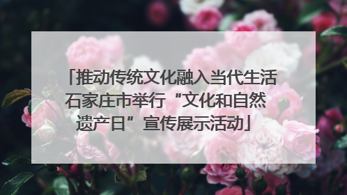 推动传统文化融入当代生活 石家庄市举行“文化和自然遗产日”宣传展示活动