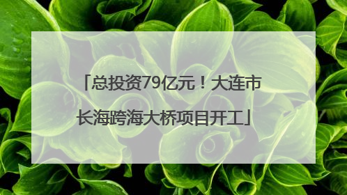 总投资79亿元！大连市长海跨海大桥项目开工