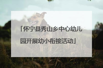 怀宁县秀山乡中心幼儿园开展幼小衔接活动