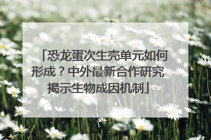 恐龙蛋次生壳单元如何形成？中外最新合作研究揭示生物成因机制