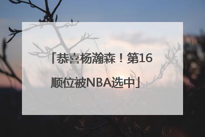 恭喜杨瀚森！第16顺位被NBA选中