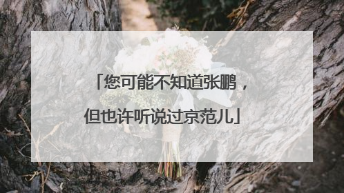您可能不知道张鹏，但也许听说过京范儿