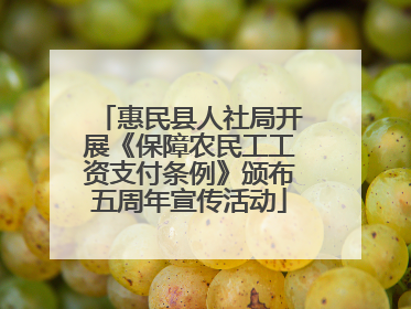 惠民县人社局开展《保障农民工工资支付条例》颁布五周年宣传活动
