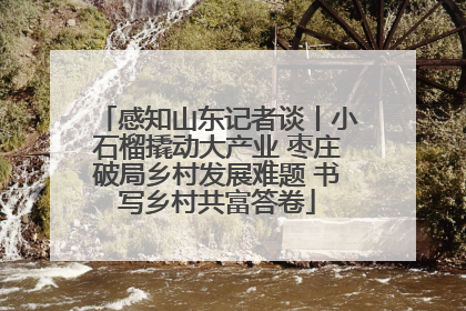 感知山东记者谈丨小石榴撬动大产业 枣庄破局乡村发展难题 书写乡村共富答卷