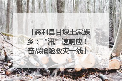 慈利县甘堰土家族乡：“汛”速响应！奋战抢险救灾一线