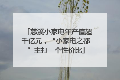 慈溪小家电年产值超千亿元，“小家电之都”主打一个性价比