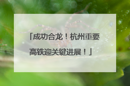 成功合龙！杭州重要高铁迎关键进展！