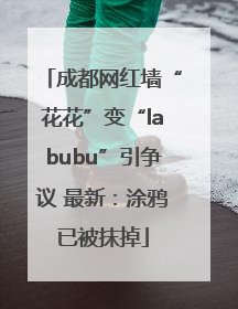 成都网红墙“花花”变“labubu”引争议 最新：涂鸦已被抹掉