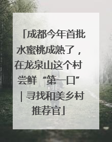 成都今年首批水蜜桃成熟了，在龙泉山这个村尝鲜“第一口”｜寻找和美乡村推荐官