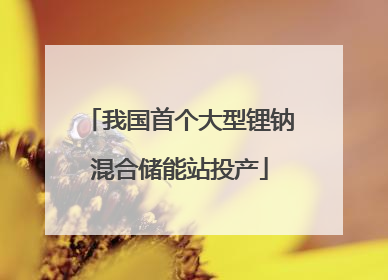 我国首个大型锂钠混合储能站投产