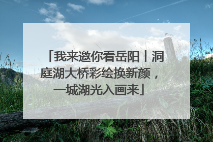 我来邀你看岳阳丨洞庭湖大桥彩绘换新颜，一城湖光入画来