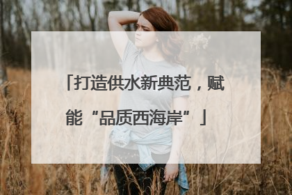打造供水新典范，赋能“品质西海岸”