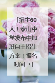 招生60人！泰山中学发布中加班自主招生方案！报名时间→