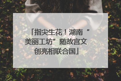 指尖生花！湖南“美丽工坊”随故宫文创亮相联合国