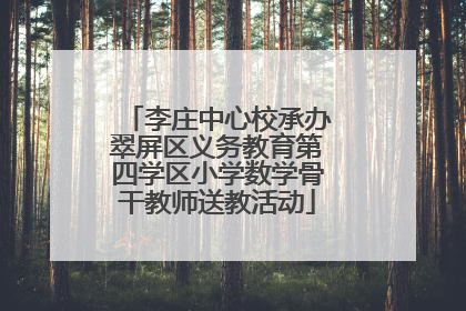 李庄中心校承办翠屏区义务教育第四学区小学数学骨干教师送教活动