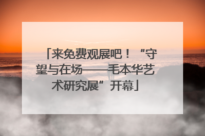 来免费观展吧！“守望与在场——毛本华艺术研究展”开幕