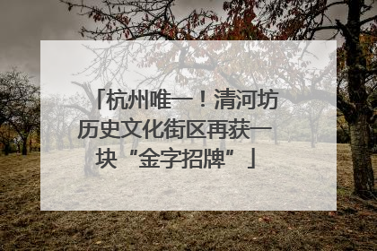 杭州唯一！清河坊历史文化街区再获一块“金字招牌”