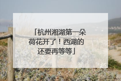 杭州湘湖第一朵荷花开了！西湖的还要再等等