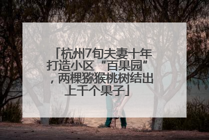 杭州7旬夫妻十年打造小区“百果园”，两棵猕猴桃树结出上千个果子