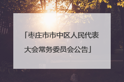 枣庄市市中区人民代表大会常务委员会公告