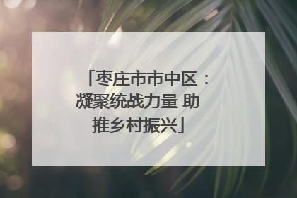 枣庄市市中区：凝聚统战力量 助推乡村振兴