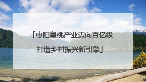 枣阳皇桃产业迈向百亿级 打造乡村振兴新引擎