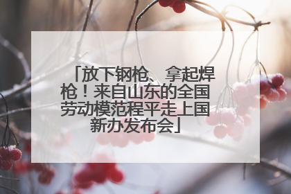 放下钢枪、拿起焊枪！来自山东的全国劳动模范程平走上国新办发布会