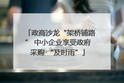 政商沙龙“架桥铺路” 中小企业享受政府采购 “及时雨”