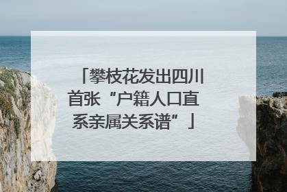 攀枝花发出四川首张“户籍人口直系亲属关系谱”