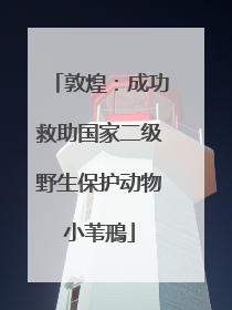 敦煌：成功救助国家二级野生保护动物小苇鳽