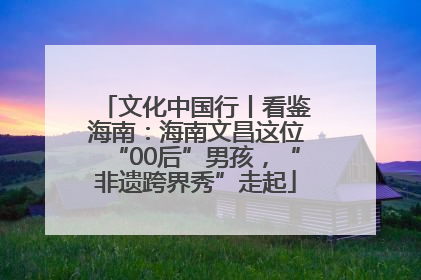 文化中国行丨看鉴海南：海南文昌这位“00后”男孩，“非遗跨界秀”走起
