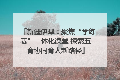 新疆伊犁：聚焦“学练赛”一体化课堂 探索五育协同育人新路径