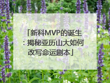 新科MVP的诞生：揭秘亚历山大如何改写命运剧本