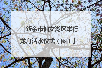 新余市仙女湖区举行龙舟活水仪式（图）