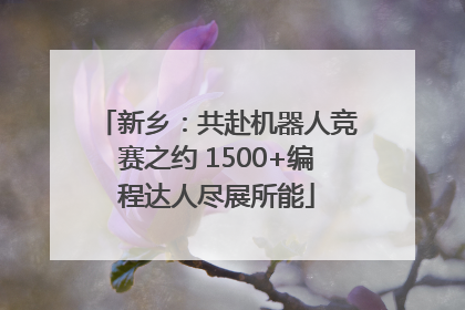新乡：共赴机器人竞赛之约 1500+编程达人尽展所能