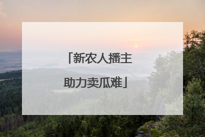 新农人播主 助力卖瓜难