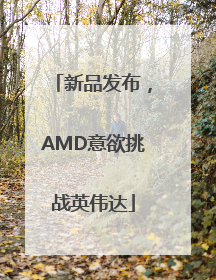 新品发布，AMD意欲挑战英伟达