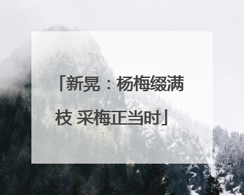 新晃：杨梅缀满枝 采梅正当时